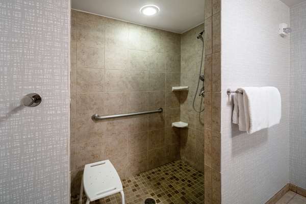  - Hampton Inn & Suites Salida