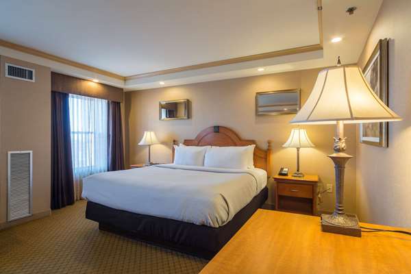 1 King Bed, Mobility/Hearing Accessible Room, Roll-In Shower, Non-Smoking