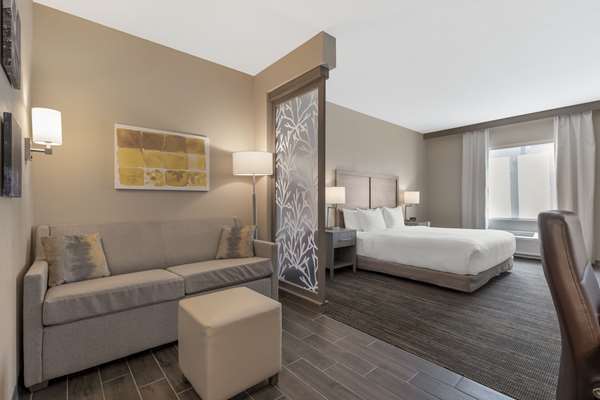 Suite - Comfort Suites Lake Buena Vista Orlando