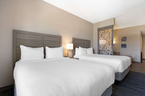 Suite - Comfort Suites Lake Buena Vista Orlando