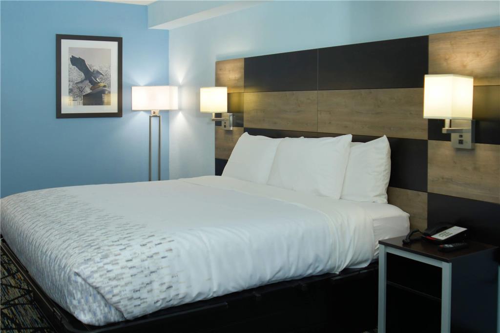 CLARION POINTE JACKSONVILLE NEAR CA-guestroom-Guest Room,Suite,On-Site.jpg