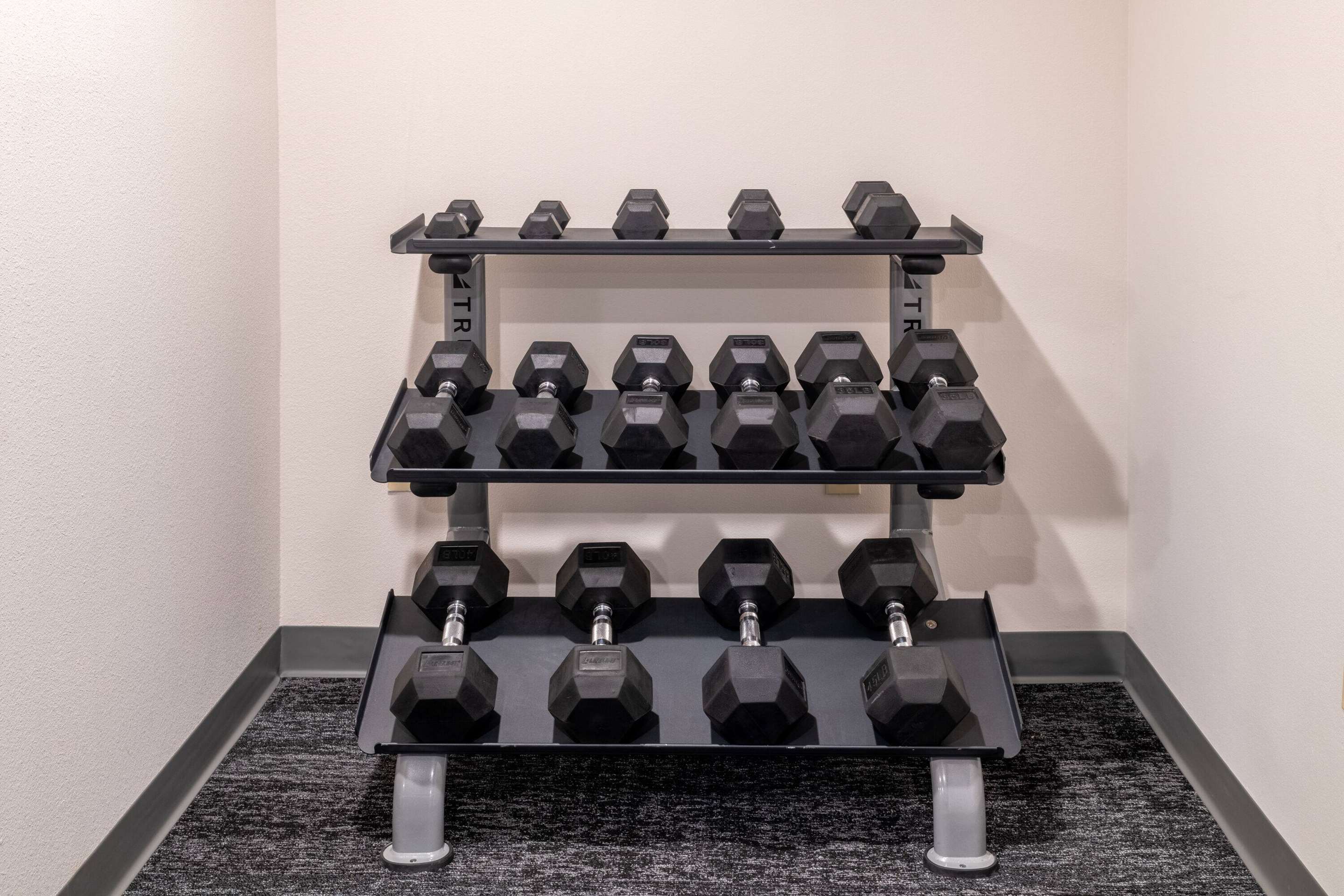 Health club fitness center gym