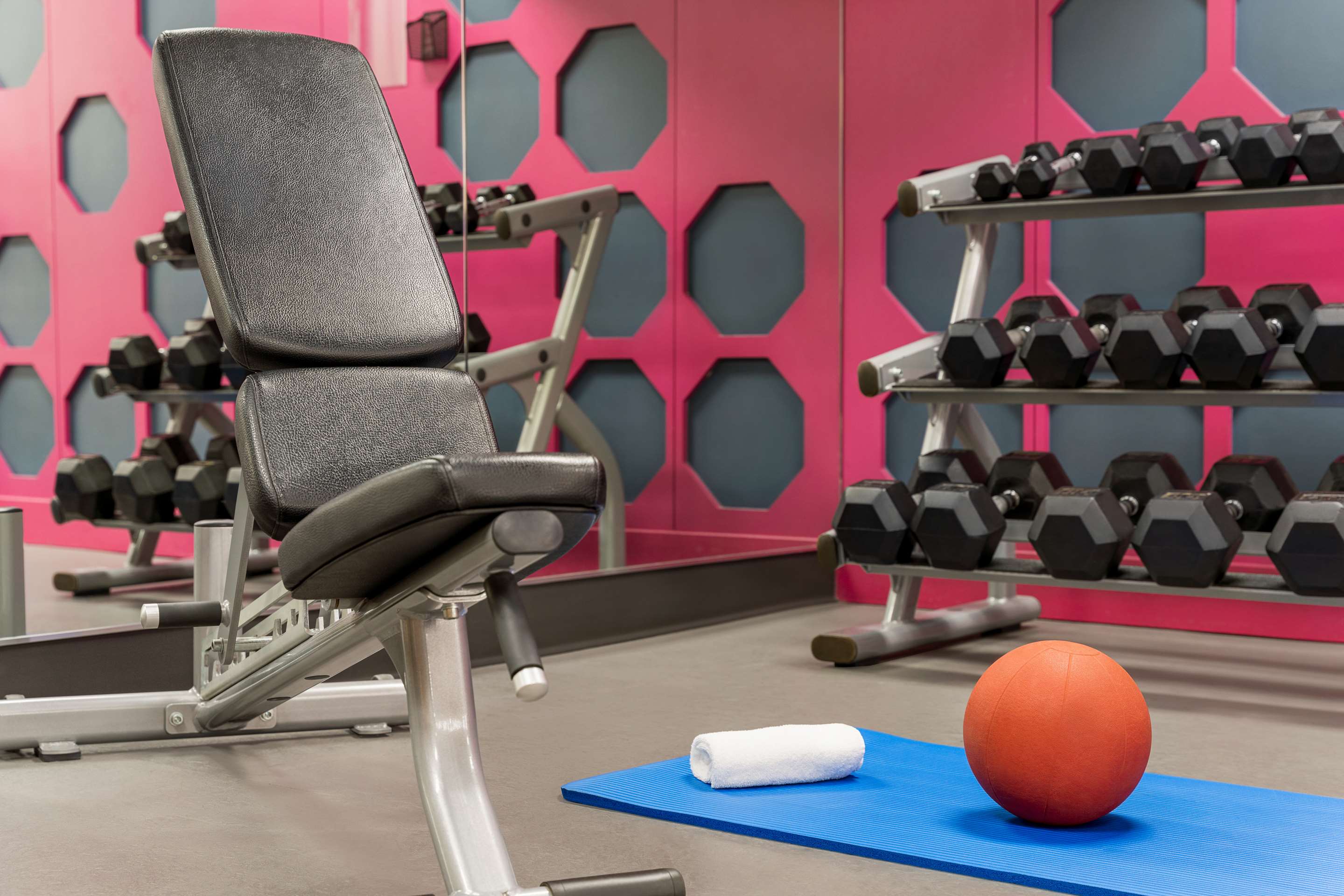 Health club fitness center gym