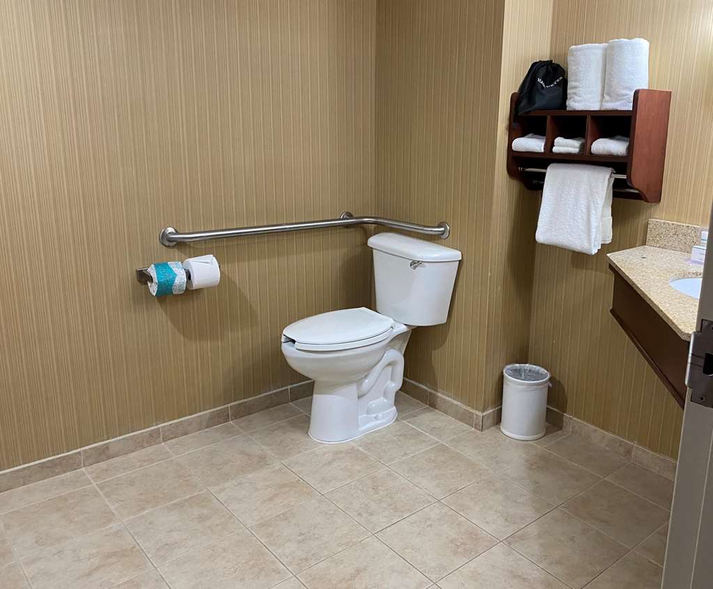 The Addison Hotel, SureStay Collection by Best Western-guestroom-Guest Room,Bathroom,On-Site.jpg
