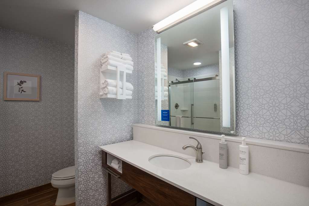 HAMPTON INN GREEN BAY STADIUM-guestroom-Guest Room,Bathroom,On-Site.jpg