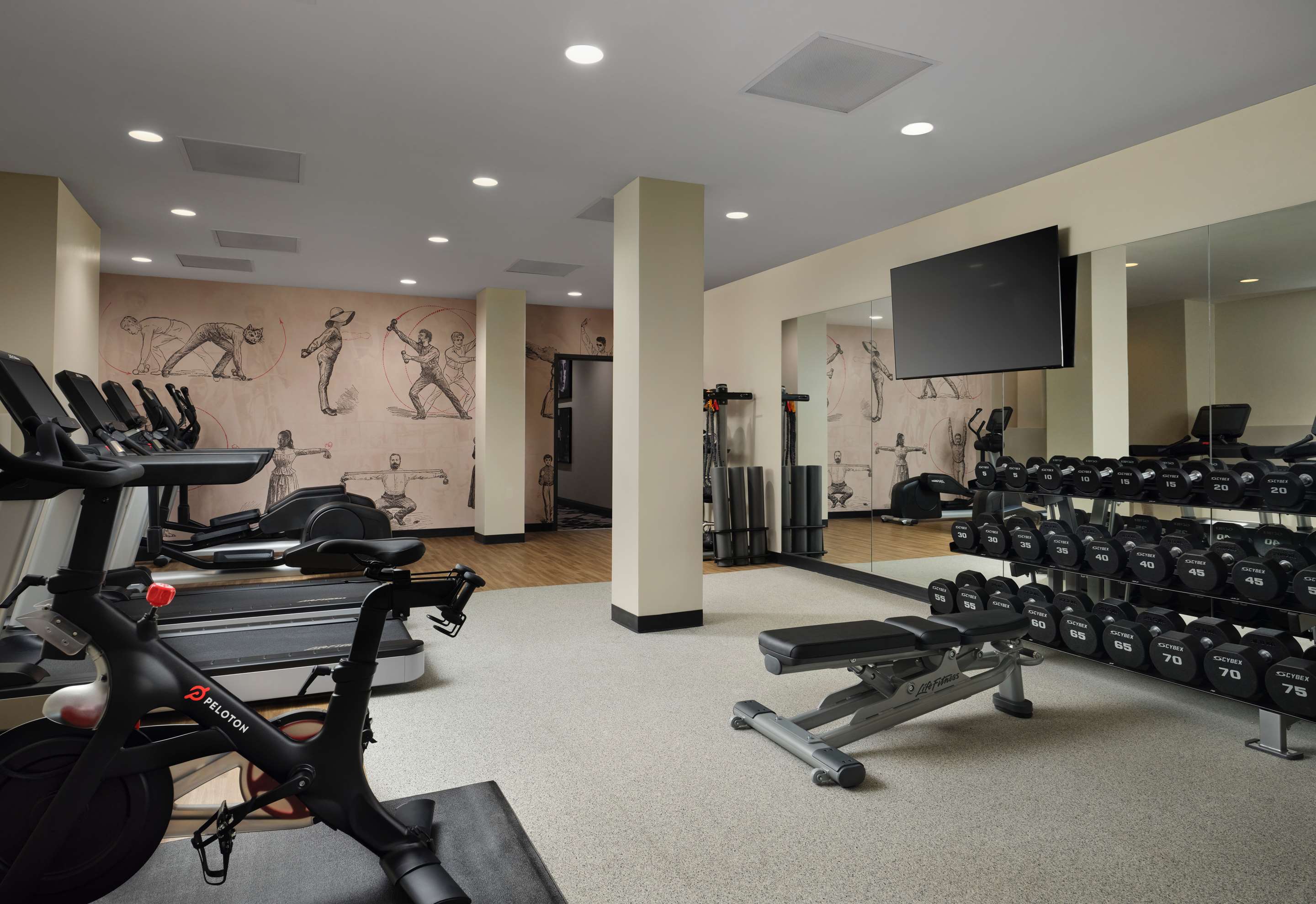 Health club fitness center gym