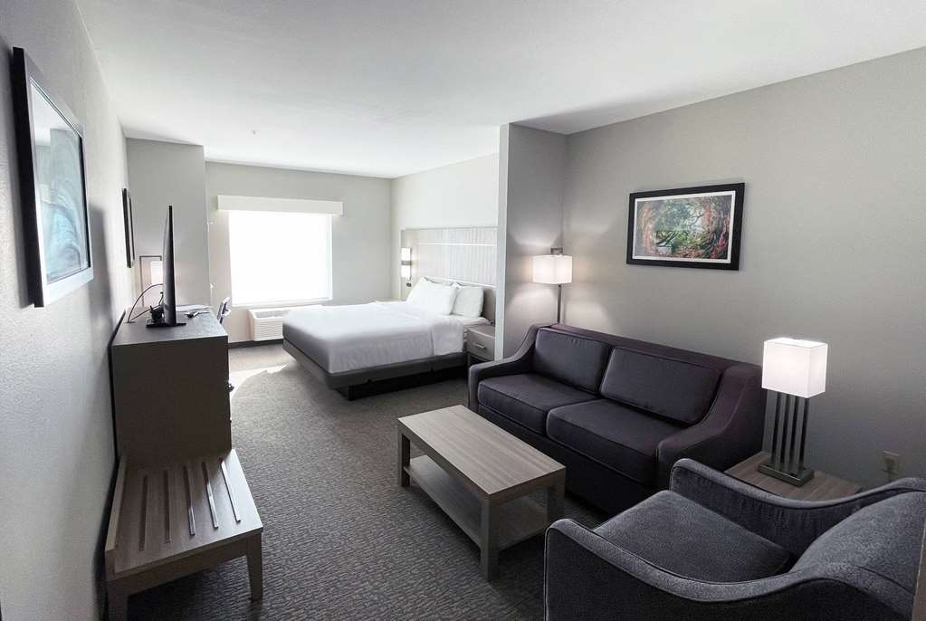 LA QUINTA INN & SUITES BY WYNDHAM J-guestroom-Guest Room,On-Site.jpg