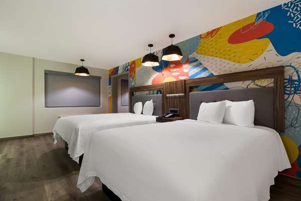 Suite - Signature Inn Galleria Houston