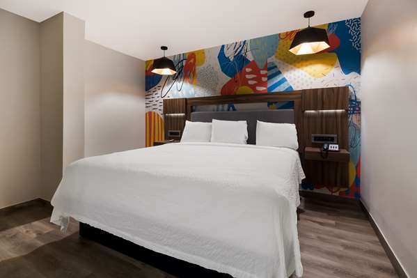 Suite - Signature Inn Galleria Houston