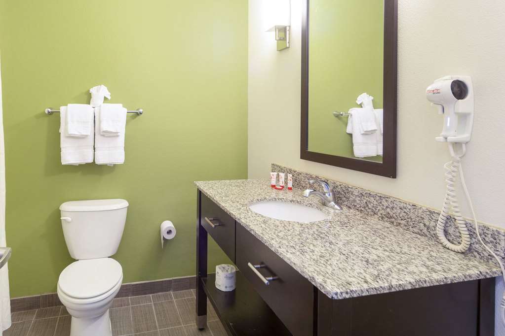 RAMADA BY WYNDHAM JACKSON MS-guestroom-Guest Room,Bathroom,On-Site.jpg