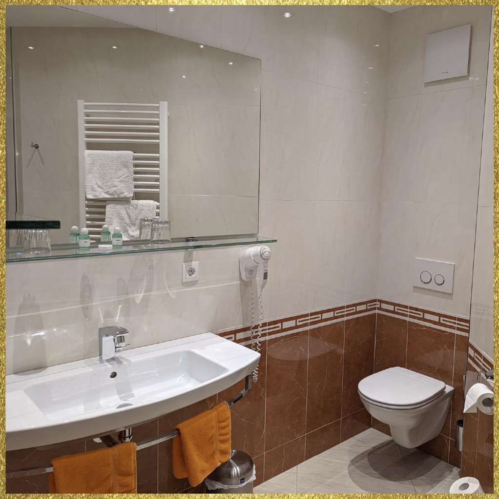 GASTHOF MEYER-guestroom-Guest Room,Bathroom,On-Site.jpg