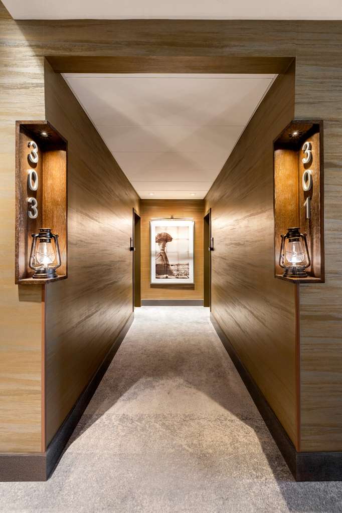 Guest photo