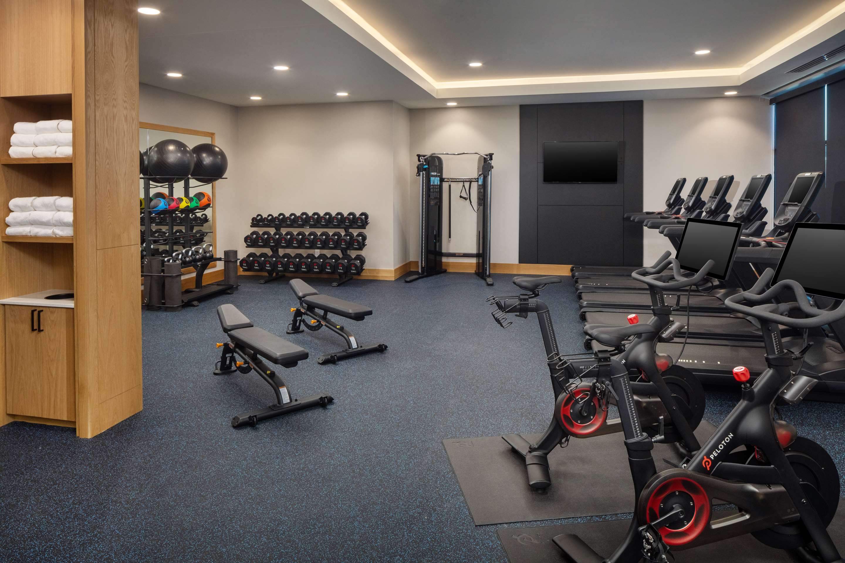 Health club fitness center gym