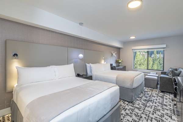 Suite - Cambria Hotel & Suites Frisco