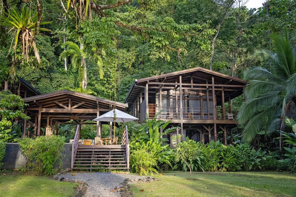 PLAYA CATIVO LODGE-guestroom-Guest Room,On-Site.jpg