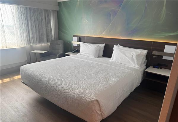 1 King Bed, Premier Room, Non-Smoking