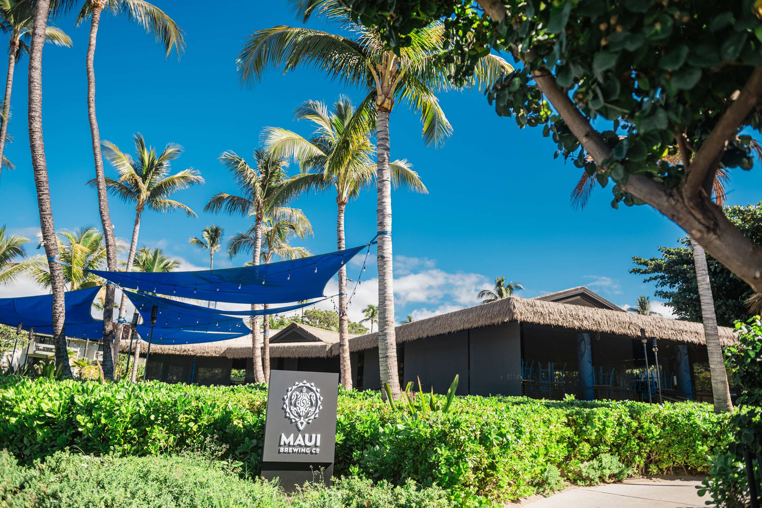 Maui Brewing Co | OUTRIGGER Kaanapali Beach Resort