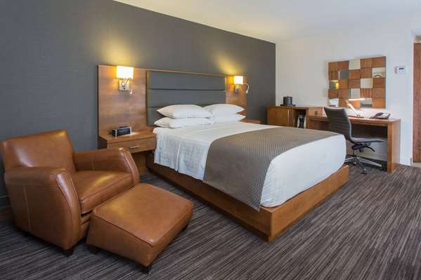 1 Queen Bed, Ground Floor, Mobility/Hearing Access Room, Roll-In Shower, NSMK