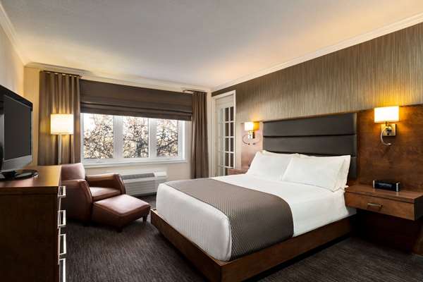 1 Queen Bed, Executive Suite, Non-Smoking