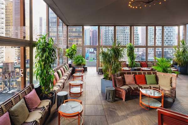 Pool - Dream Midtown Hotel New York