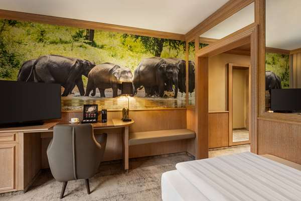 Comfort Accessible Room