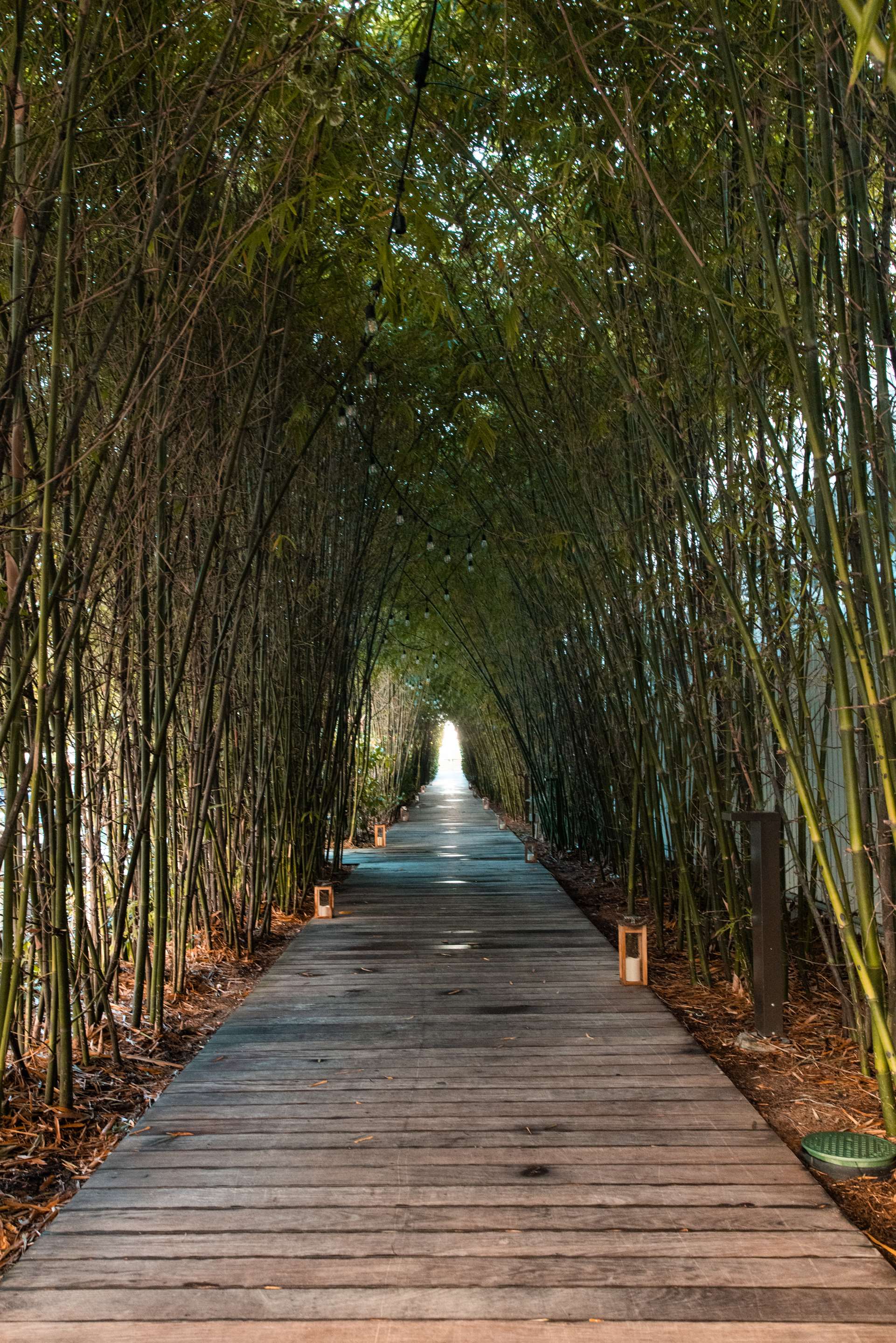 SHR NautilusMiamiBeach Exterior Walkway