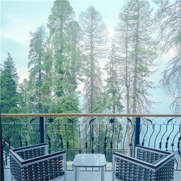 Guest Room,On-Site,View from room