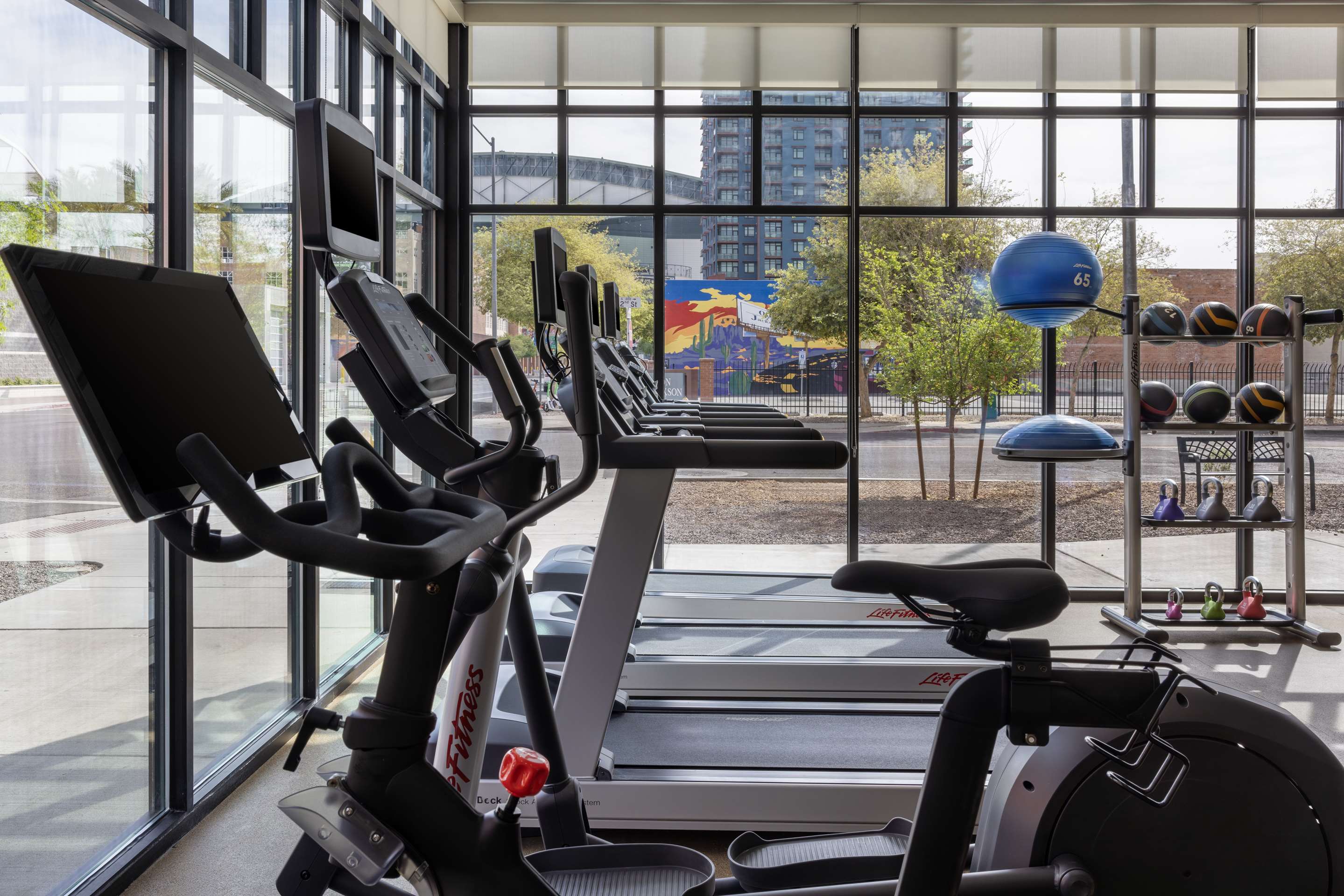 Health club fitness center gym