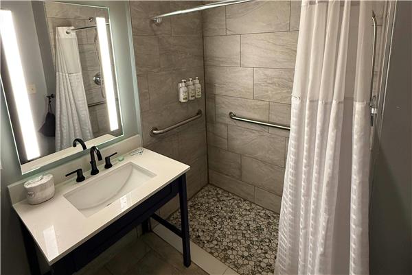 1 King Bed, Mobility Accessible Room, Roll-In Shower, Non-Smoking