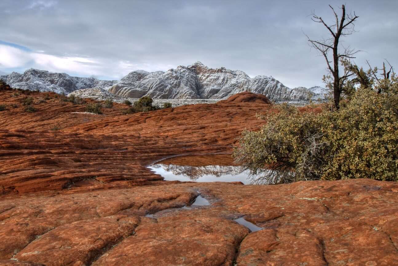 Snow Canyon State Park