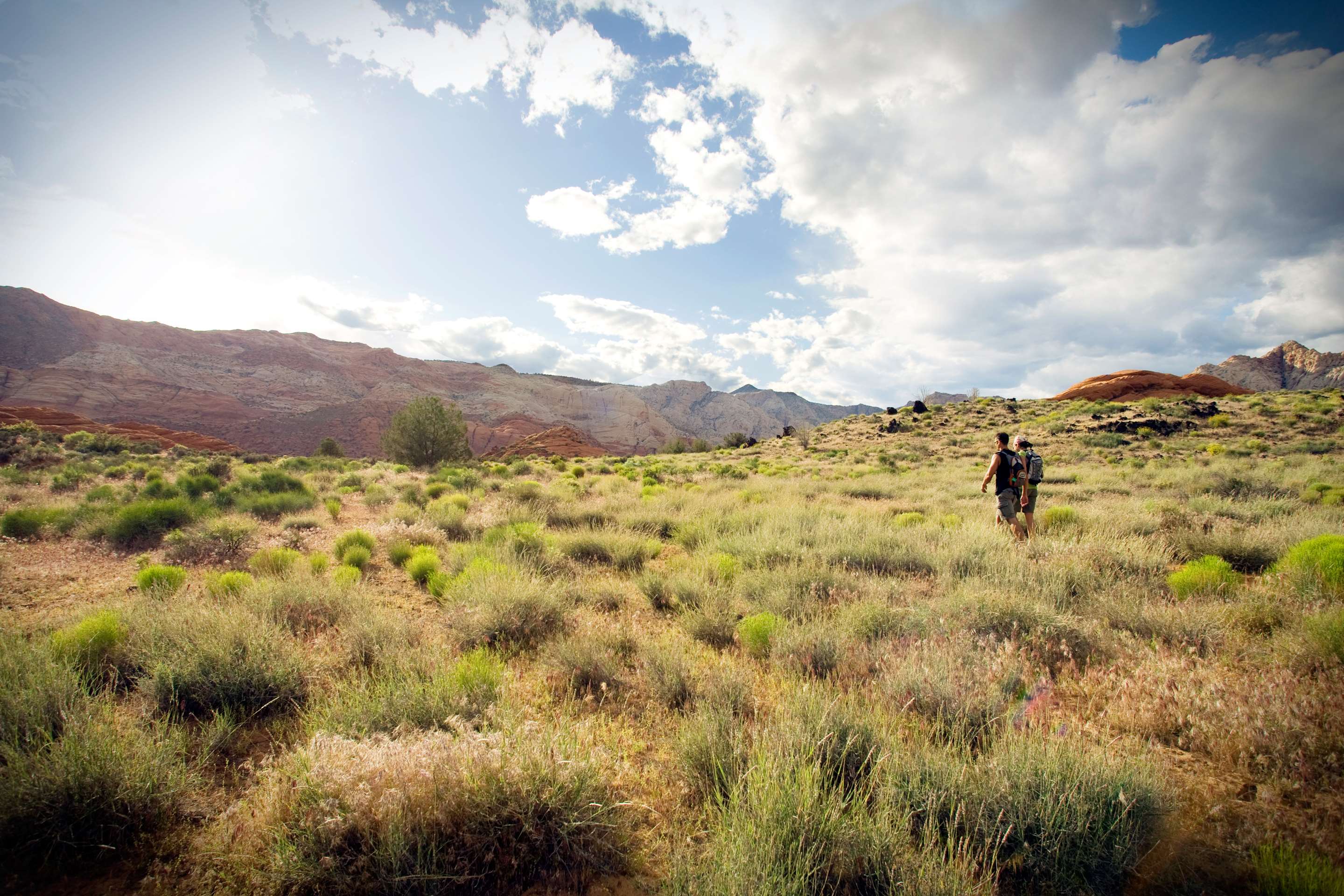 hiking couple walking away