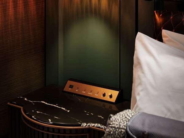 HOTEL SOUSEI SAPPORO MGALLERY - Photo 12