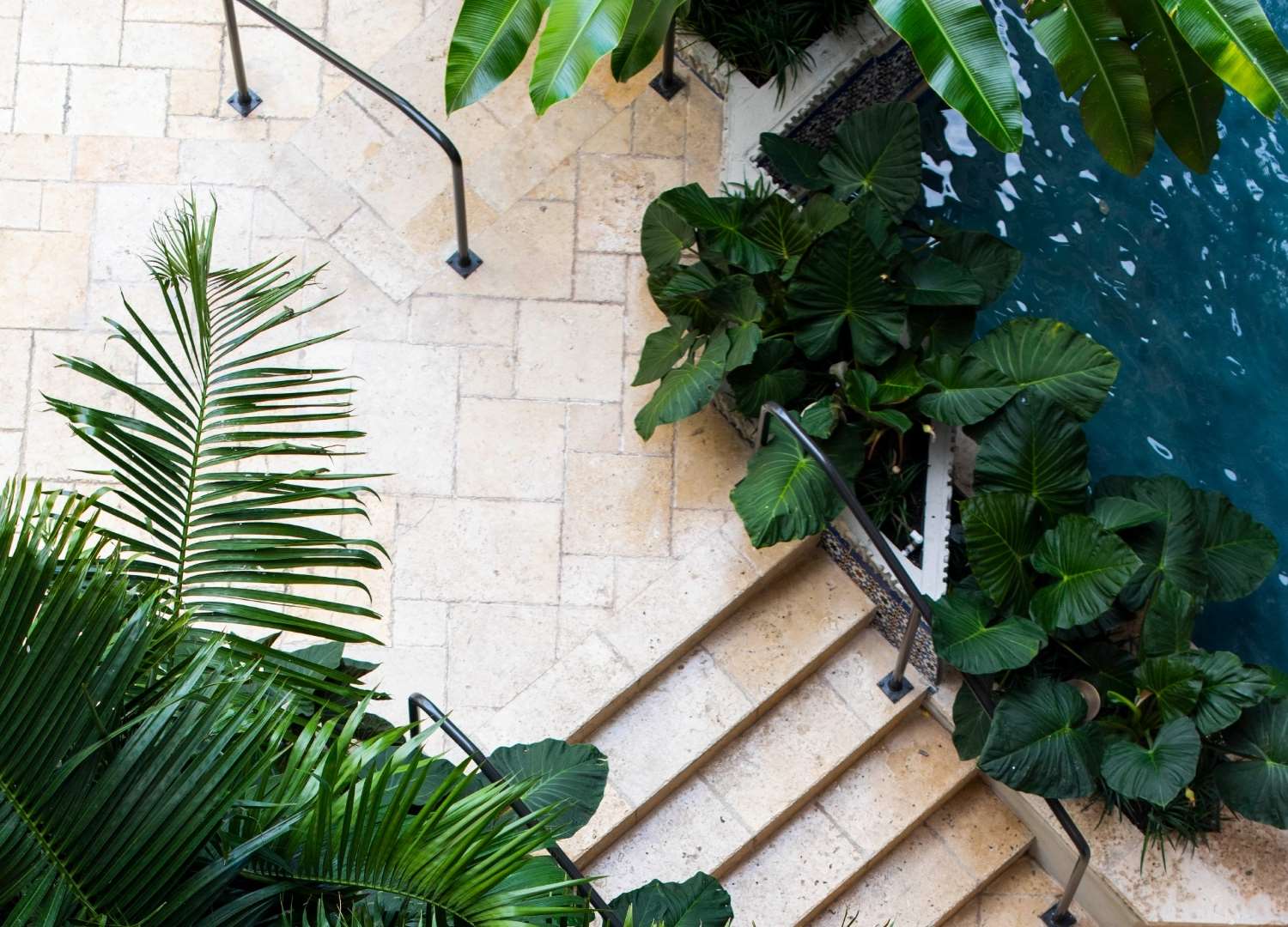 Hotel Interior Mayfair House Miami Coconut Grove FL | Mayfair House Hotel & Garden