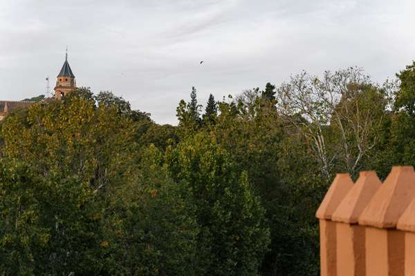 Alhambra Palace Hotel