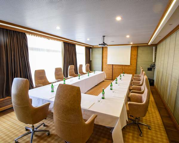 HOTEL FLUELA DAVOS  PART OF HYATT - Photo 23