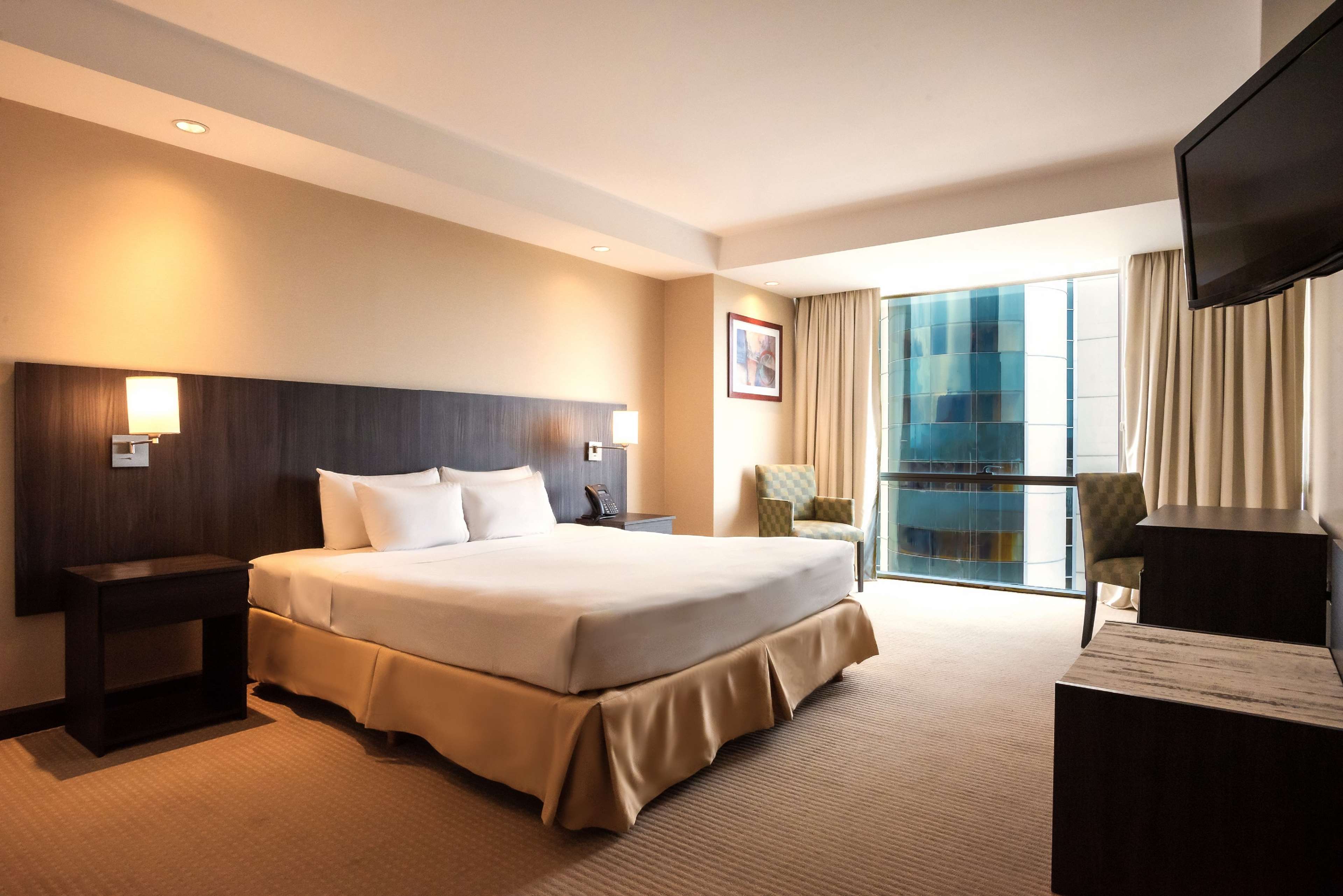Hilton Mendoza Room Type - 1 KING BED MTN VW EXECUTIV