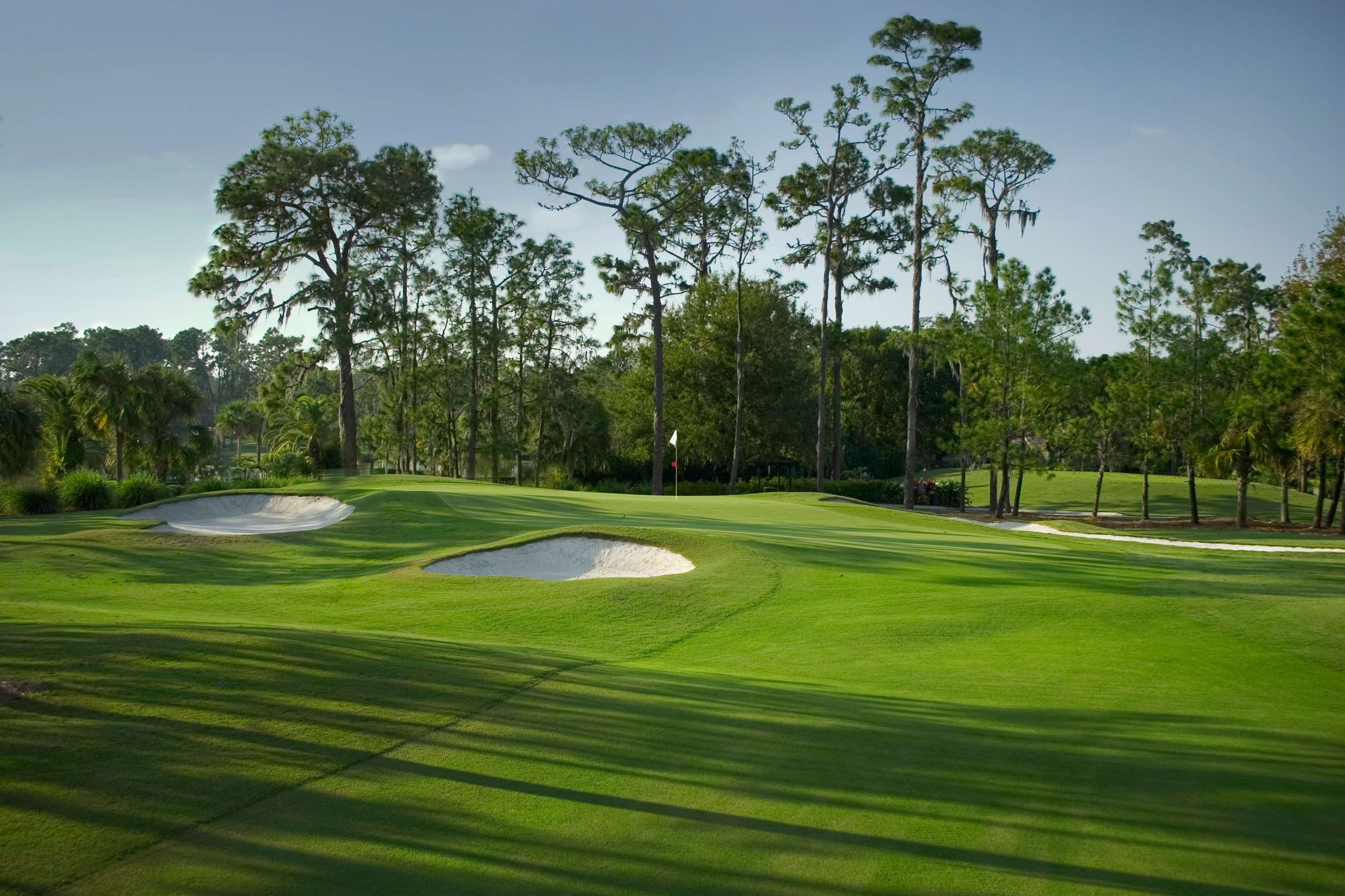 Palmer Course Hole