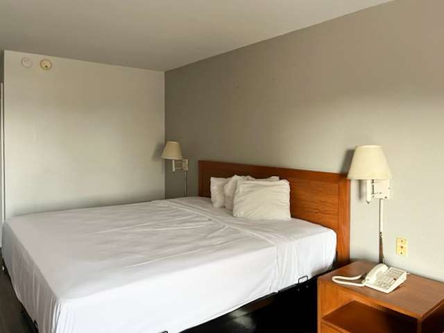MOTEL 6 - LAUREL, MS-guestroom-Guest Room,On-Site.jpg