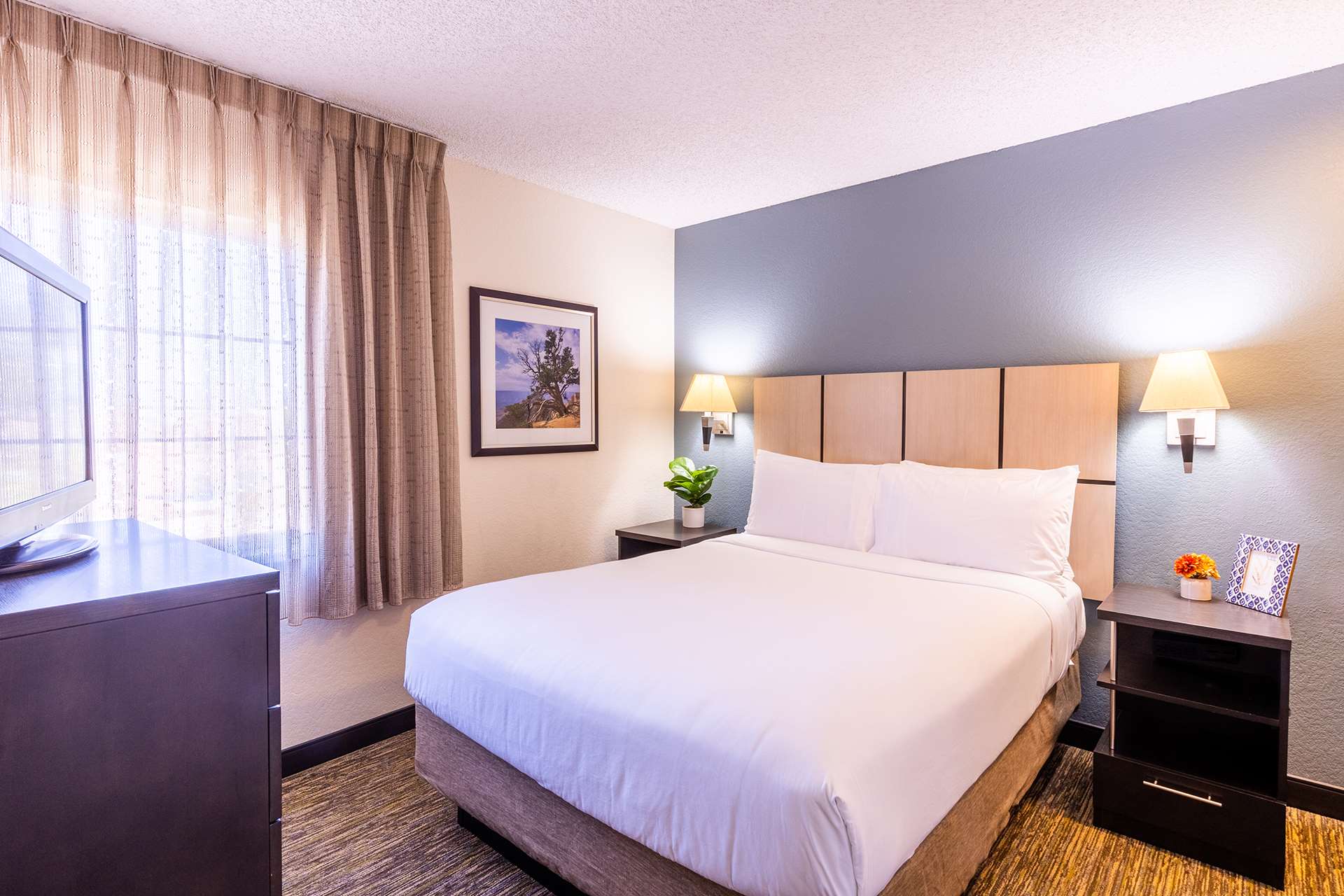 Studio Suite King image