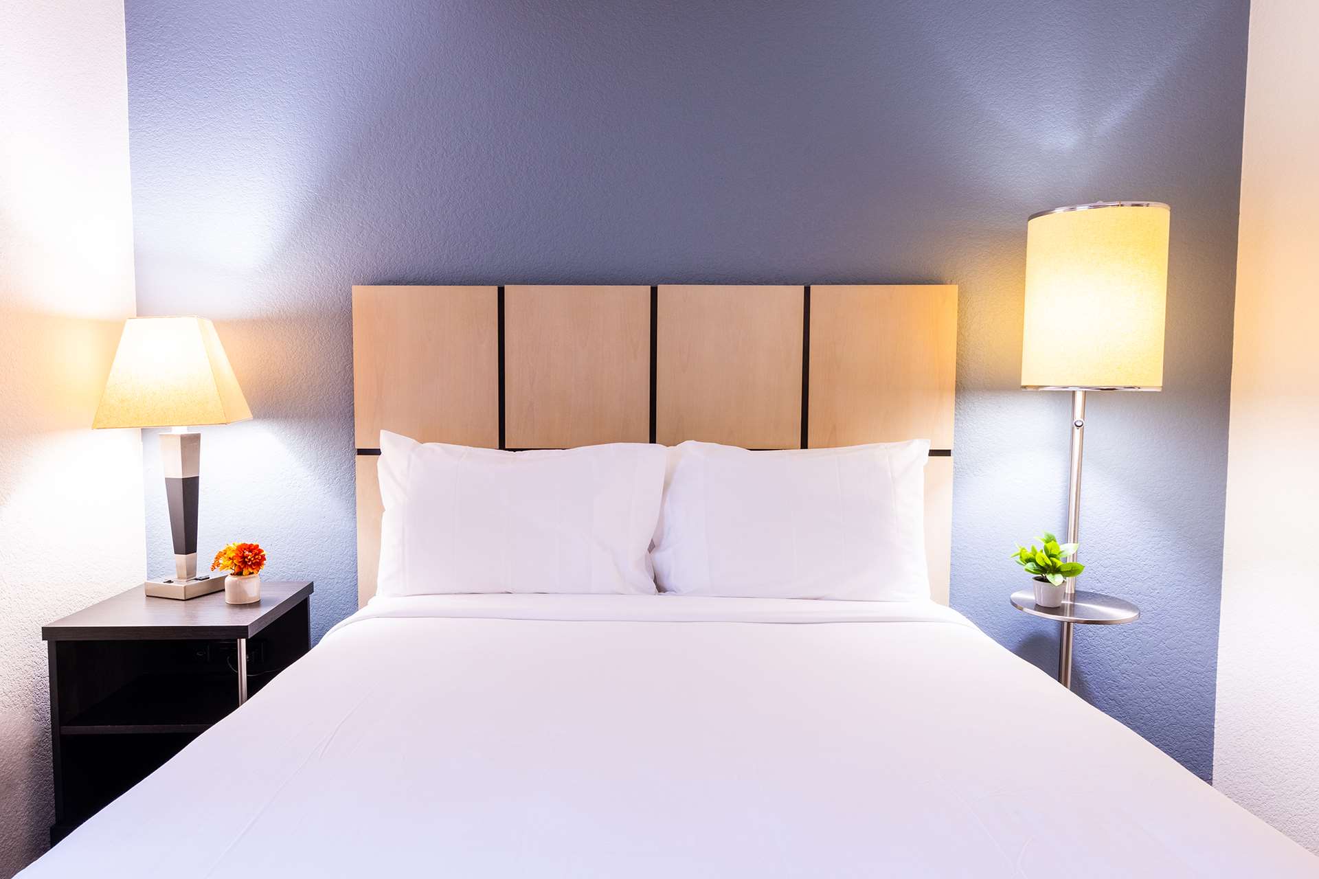 Studio Suite 2 Double Beds image