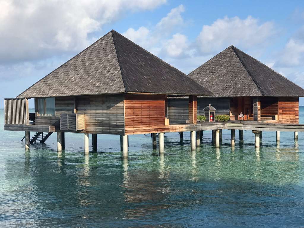 GANGEHI ISLAND RESORT AND SPA-guestroom-Guest Room,Suite,On-Site.jpg