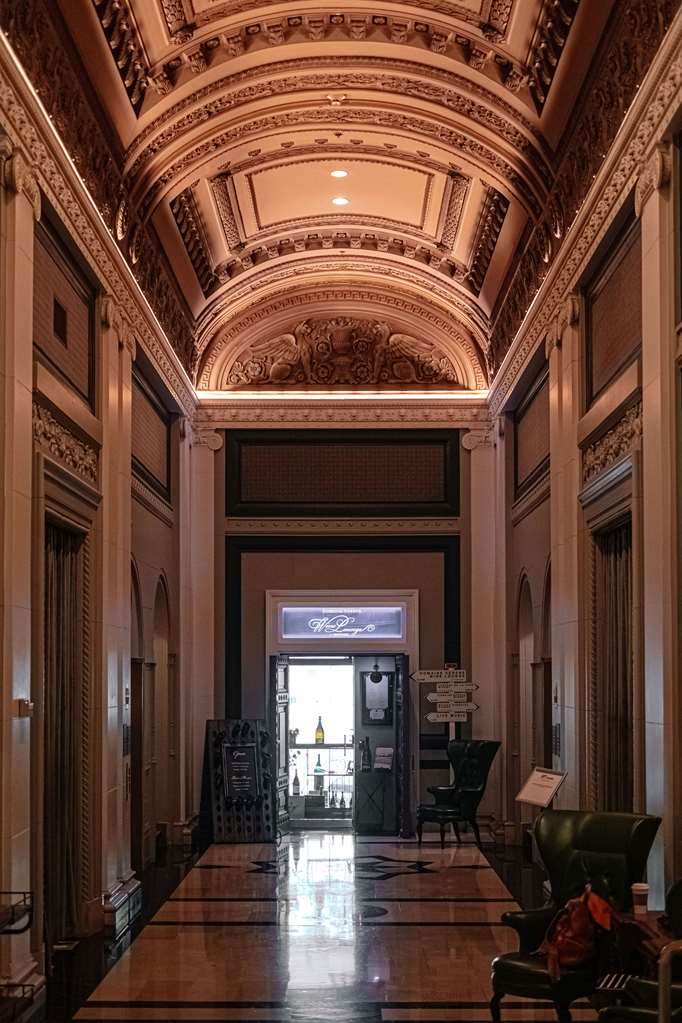 Guest photo
