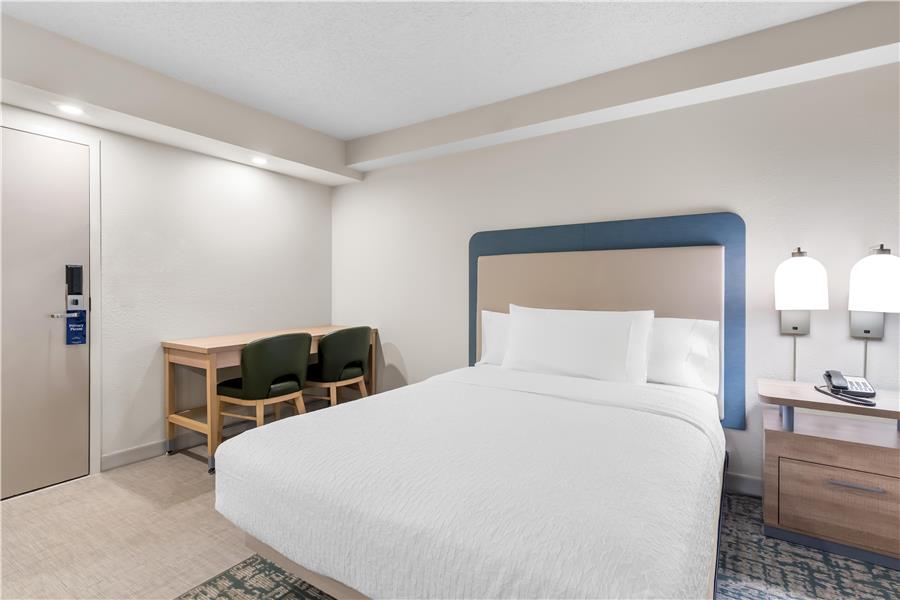 Guest Room,Bed,On-Site