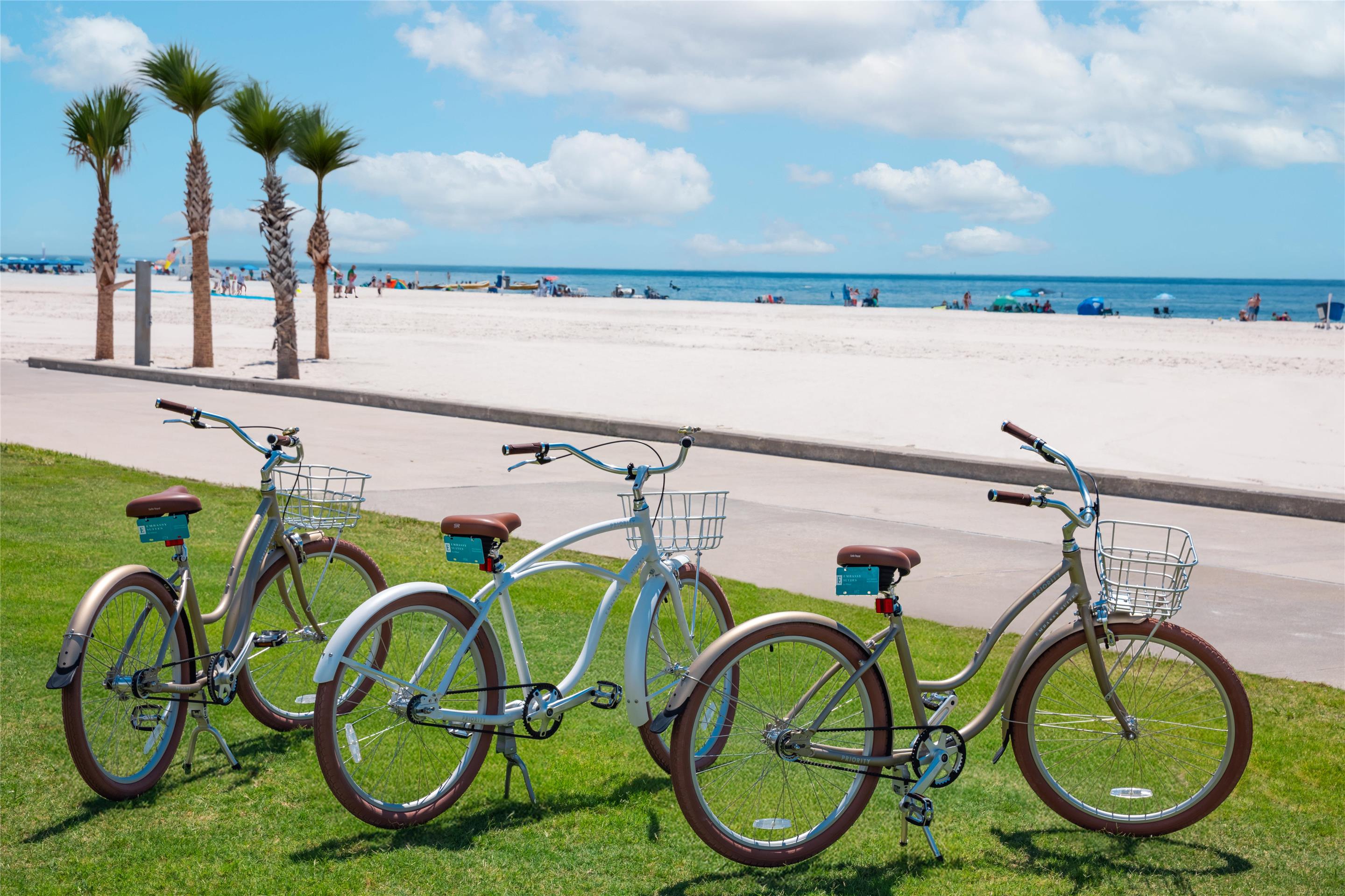 Recreational Facility | Embassy Suites By Hilton Gulf Shores Beach Resort
