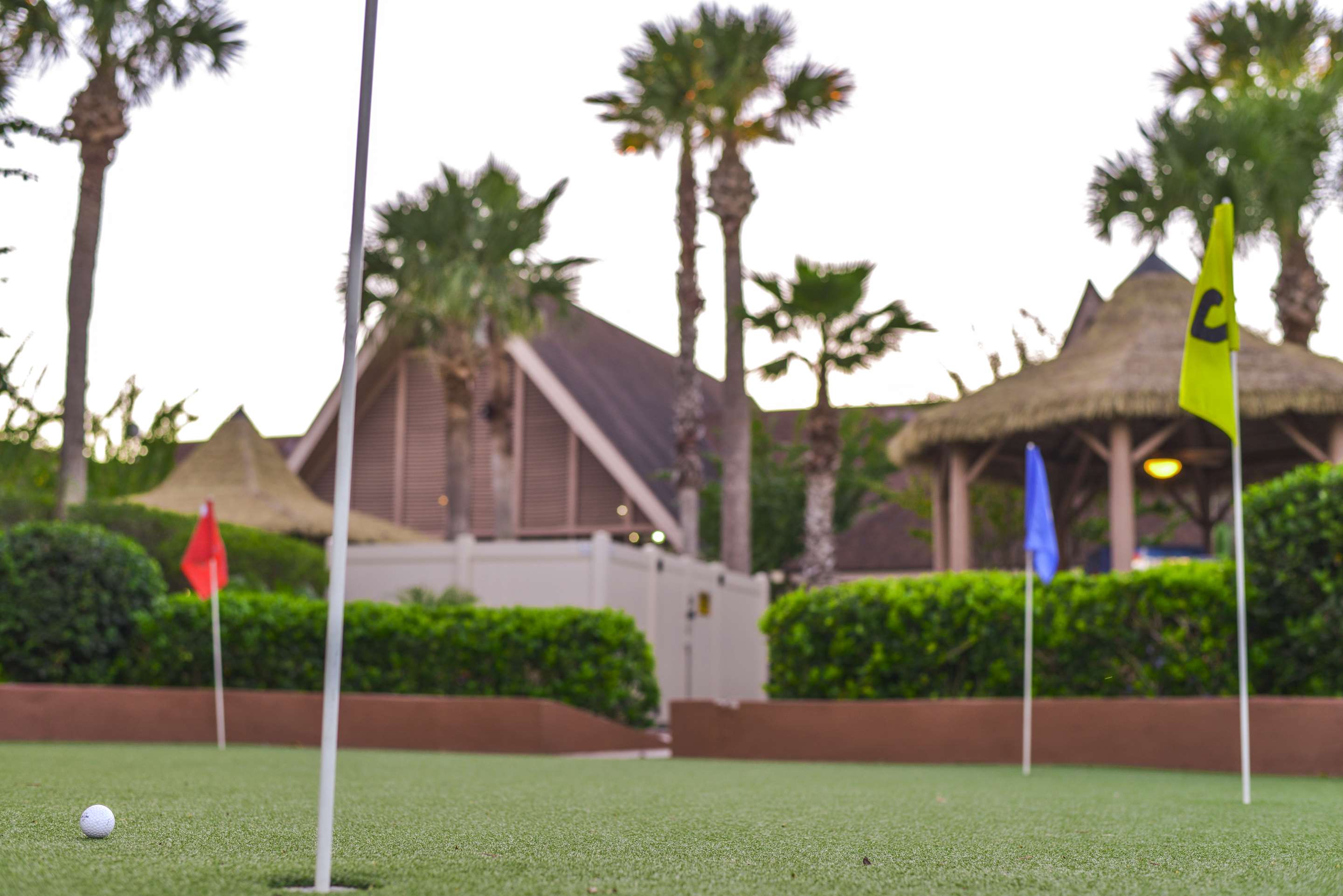 Recreational Facility | Hilton Vacation Club Polynesian Isles Kissimmee