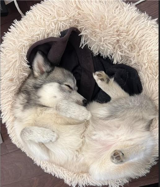 HÔTEL PREMIERE CLASSE ROUEN SUD - OISSEL