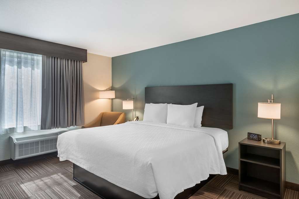 Best Western Plus Bluffton / Hilton Head Hotel-guestroom-Guest Room,On-Site.jpg