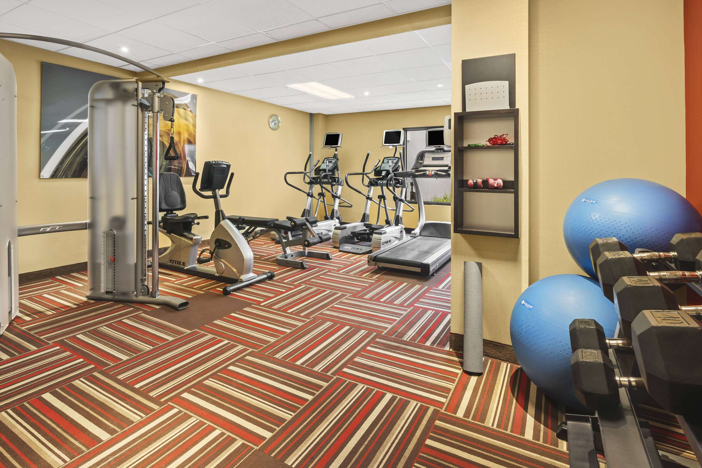 Health club fitness center gym
