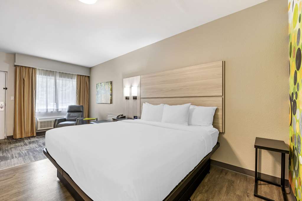 THE BRADFORD HOTEL AN ASCEND COLLEC-guestroom-Guest Room,On-Site.jpg