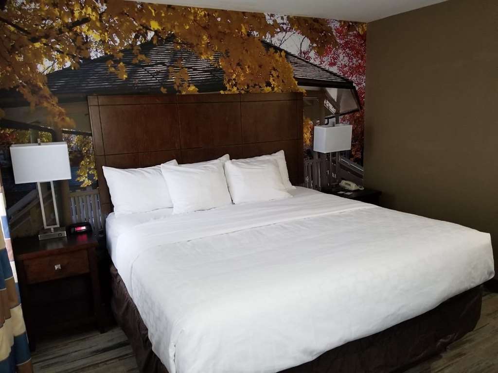 SureStay Plus by Best Western Corydon-guestroom-Guest Room,On-Site.jpg